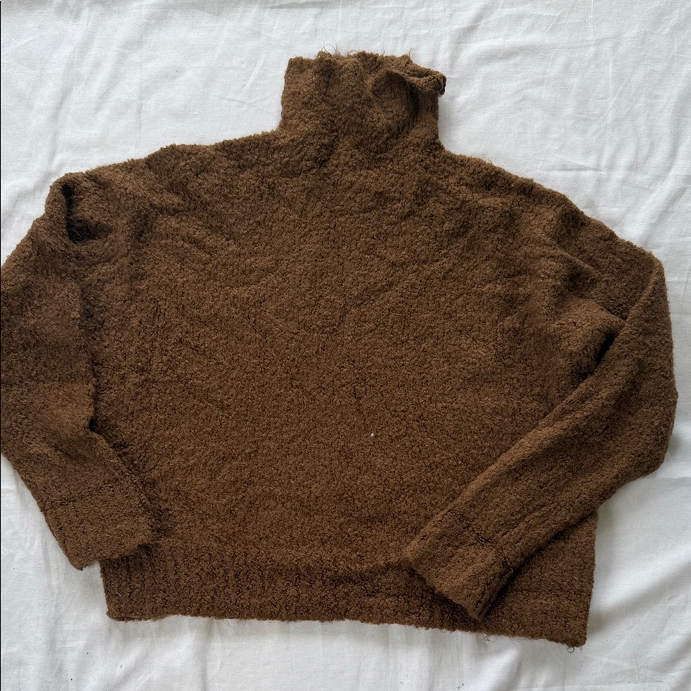 J Crew Cozy Brown Turtleneck Sweater Tall Medium